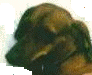 barneyhl