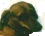 barneyhr