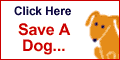 igive graphic