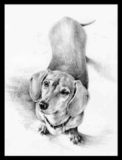 Sample of drawing!